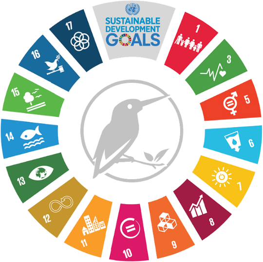 We empower people to take climate actions
